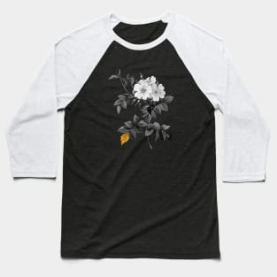 Black and Gold Leaf - Blooming White Rosebush - Vintage Botanical Baseball T-Shirt